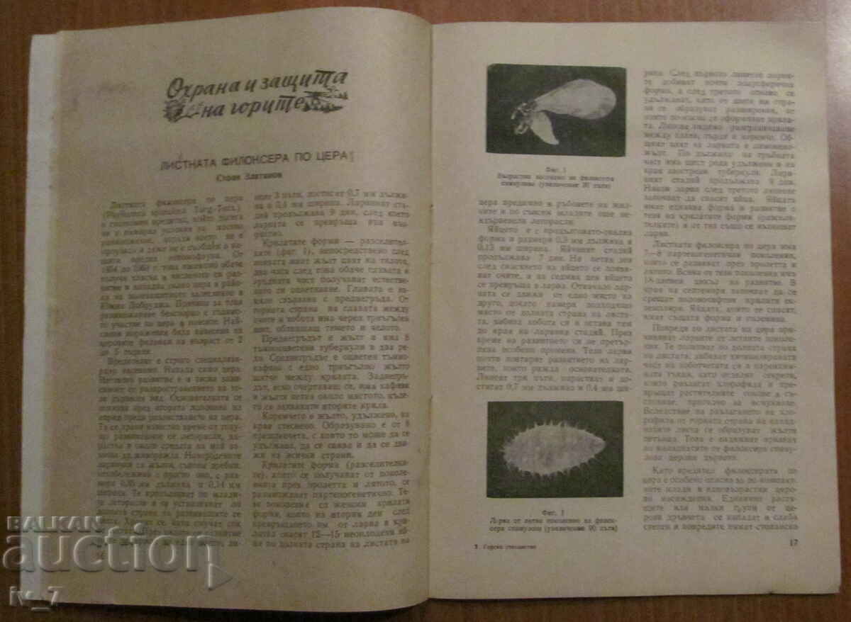 "FORESTRY" MAGAZINE - ISSUE 7, 1964 - 5 "FORESTRY" MAGAZINE - ISSUE 7, 1964 - 5