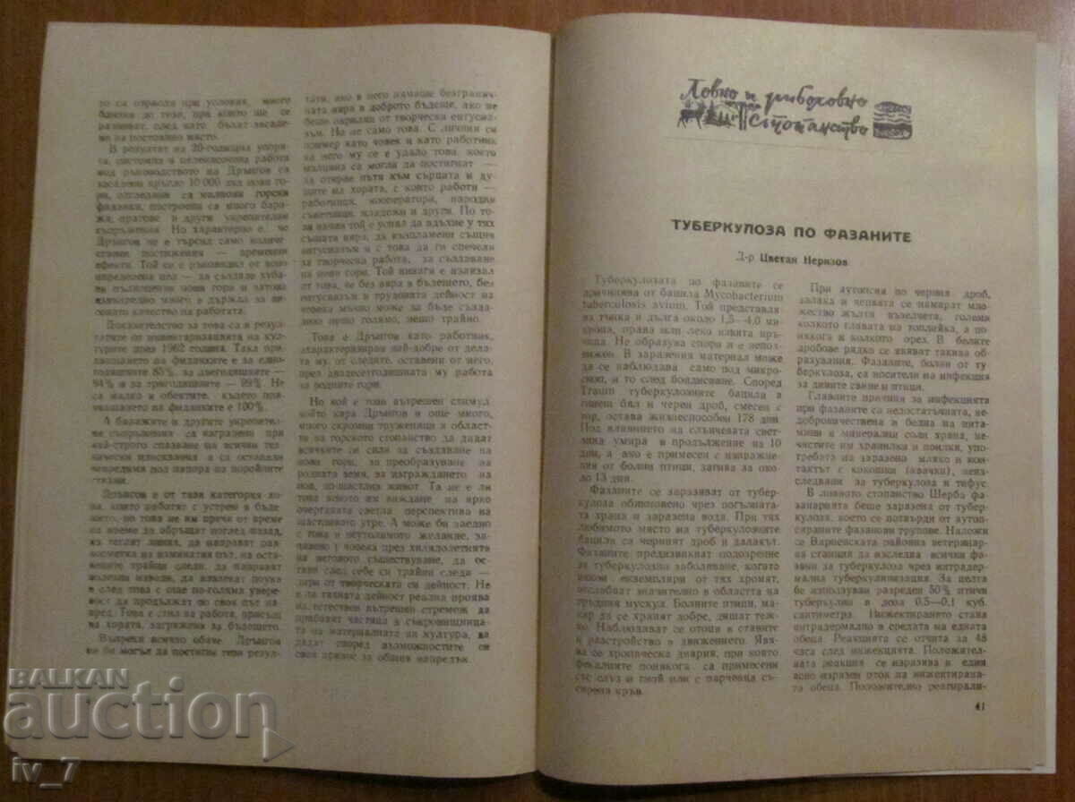 "FORESTRY" MAGAZINE - ISSUE 3, 1964 - 6 "FORESTRY" MAGAZINE - ISSUE 3, 1964 - 6