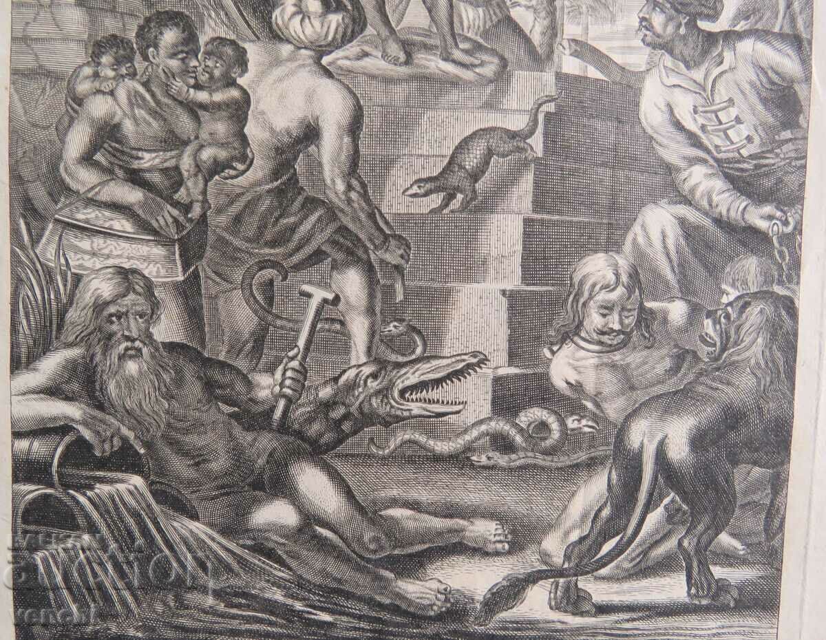 Licitație 1686 - GRAVURA - AFRICA - ORIGINAL