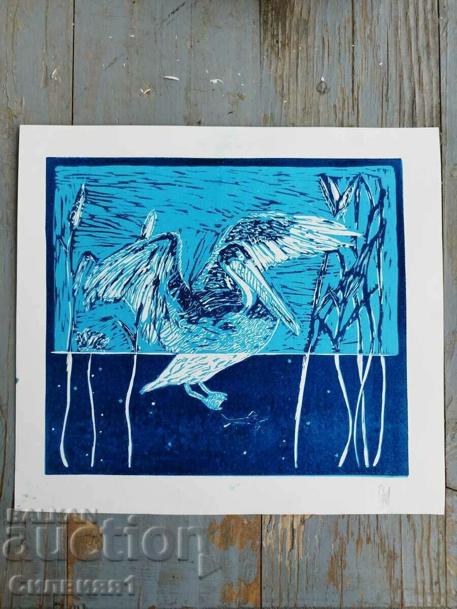 Linogravare color „Pelicanul