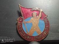 Badge For long-term and conscientious work