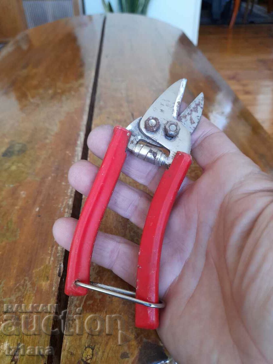 Auction  Stara Lozarska, ovoshtarska Nozhitsa, Nozhitsi