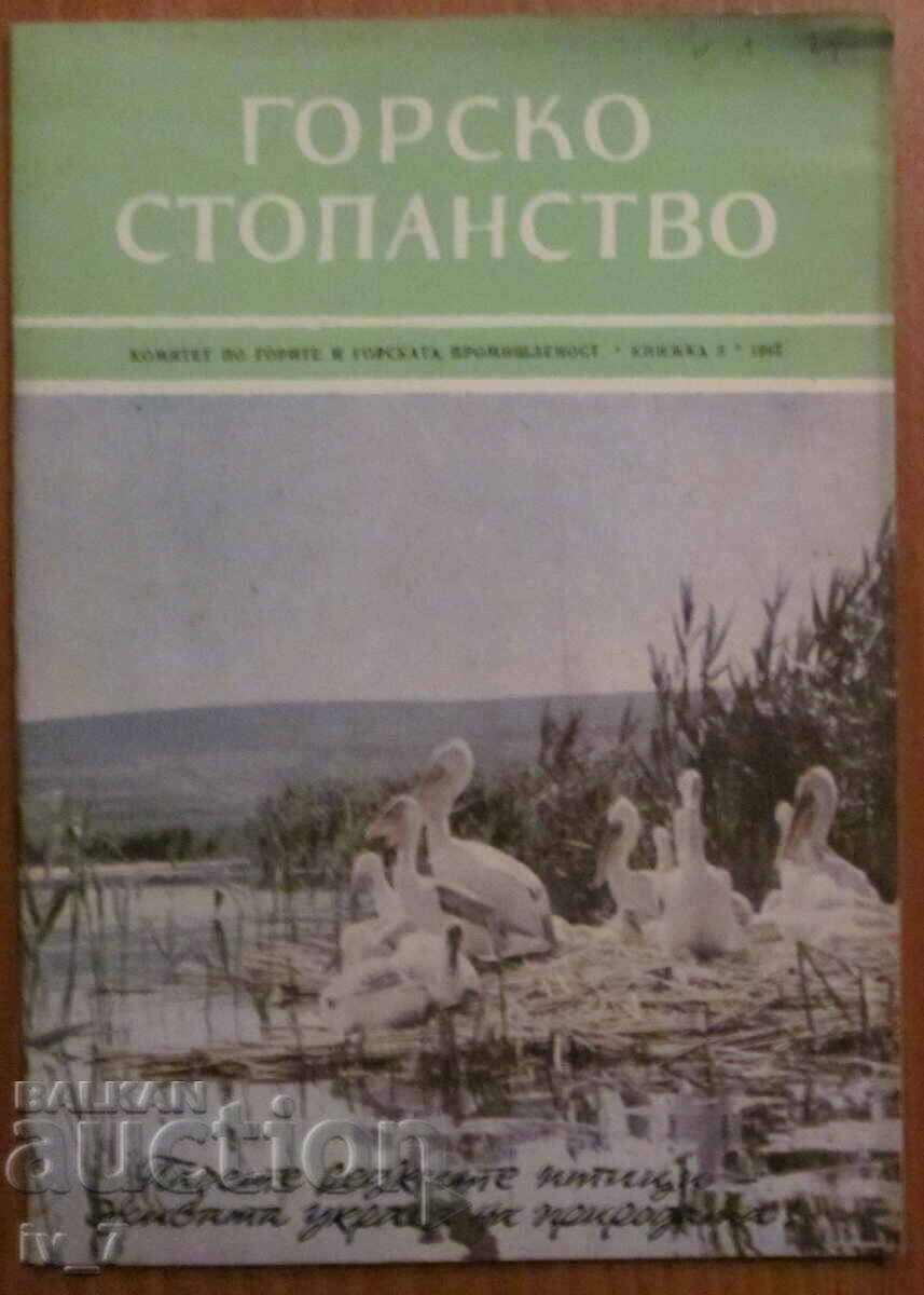 СПИСАНИЕ  "ГОРСКО СТОПАНСТВО" - БРОЙ 8, 1965 г.