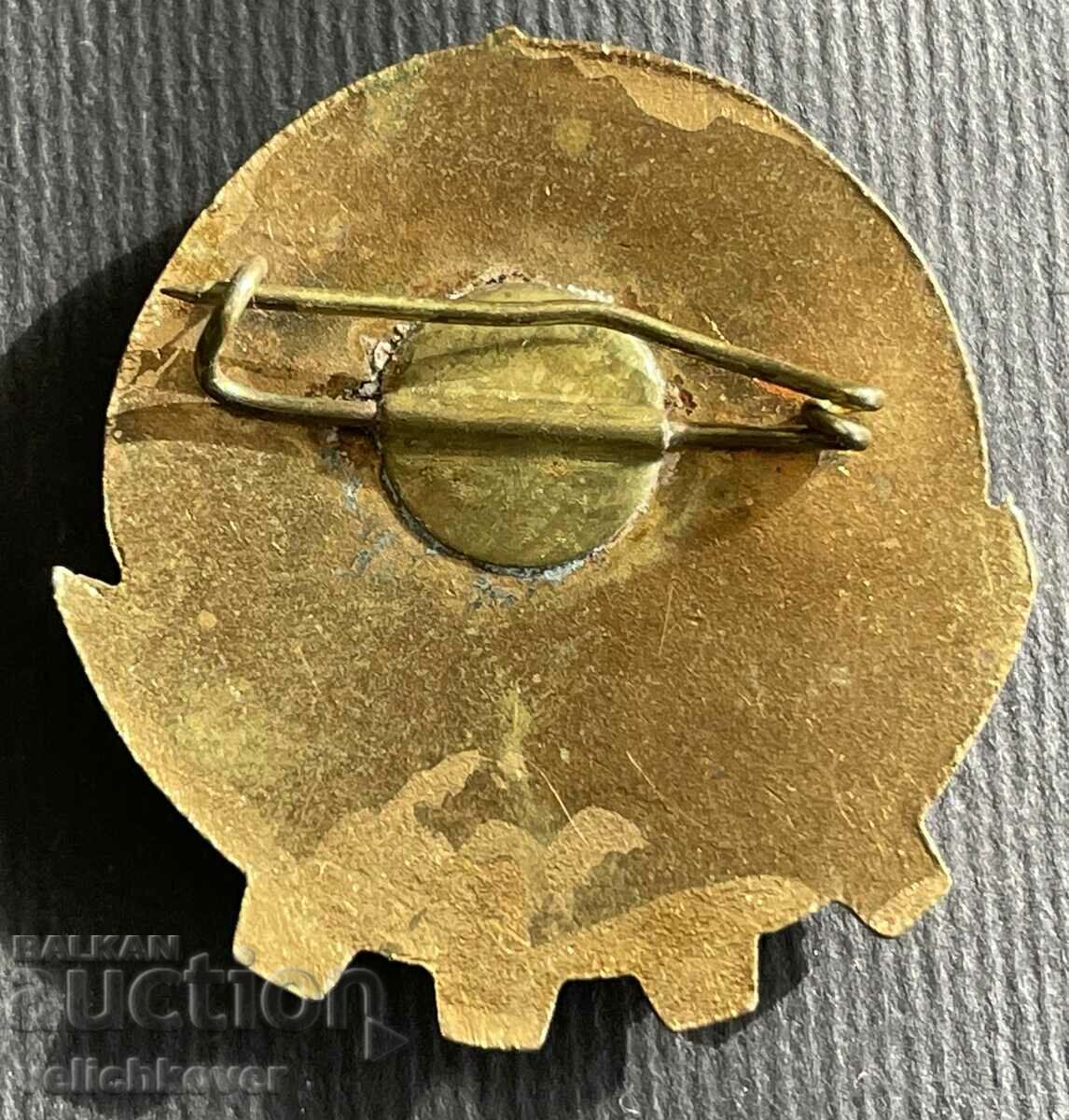 36928 Bulgaria mark Excellent in physical education work email with price 6.00 BGN | € 3.07 36928 Bulgaria mark Excellent in physical education work email with price 6.00 BGN | € 3.07