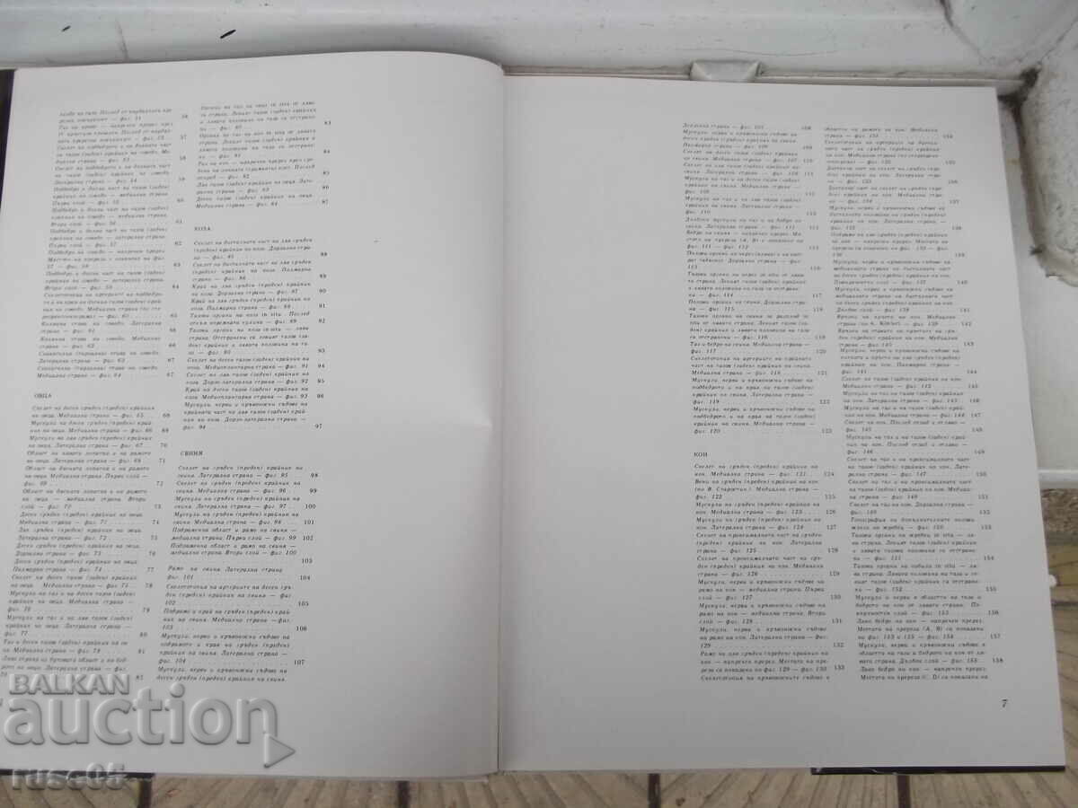 Auction Book "Atlas of topographical anatomy-III volume-P. Popesco"-206p Auction Book "Atlas of topographical anatomy-III volume-P. Popesco"-206p