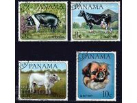 Παναμάς - ζώα