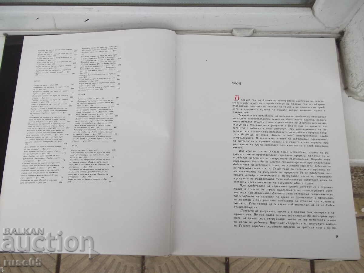 Book "Atlas of topographical anatomy-II volume-P. Popesco"-194 p - 5 Book "Atlas of topographical anatomy-II volume-P. Popesco"-194 p - 5