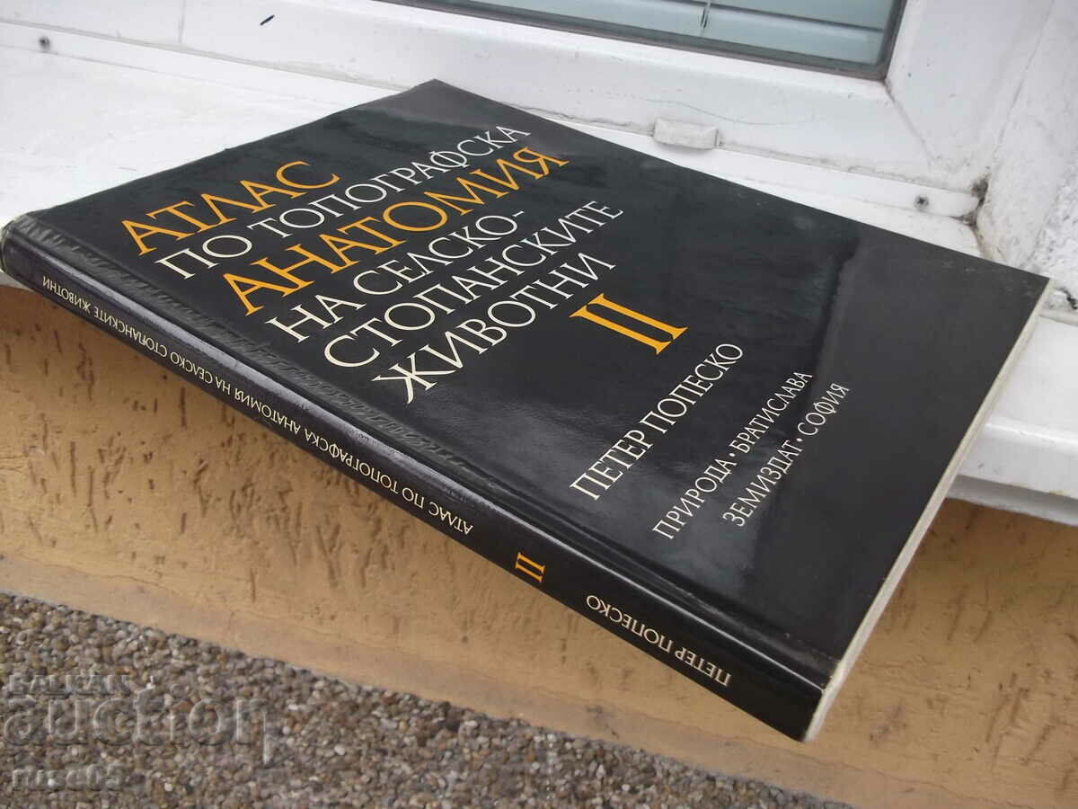 Book "Atlas of topographical anatomy-II volume-P. Popesco"-194 p - 7 Book "Atlas of topographical anatomy-II volume-P. Popesco"-194 p - 7