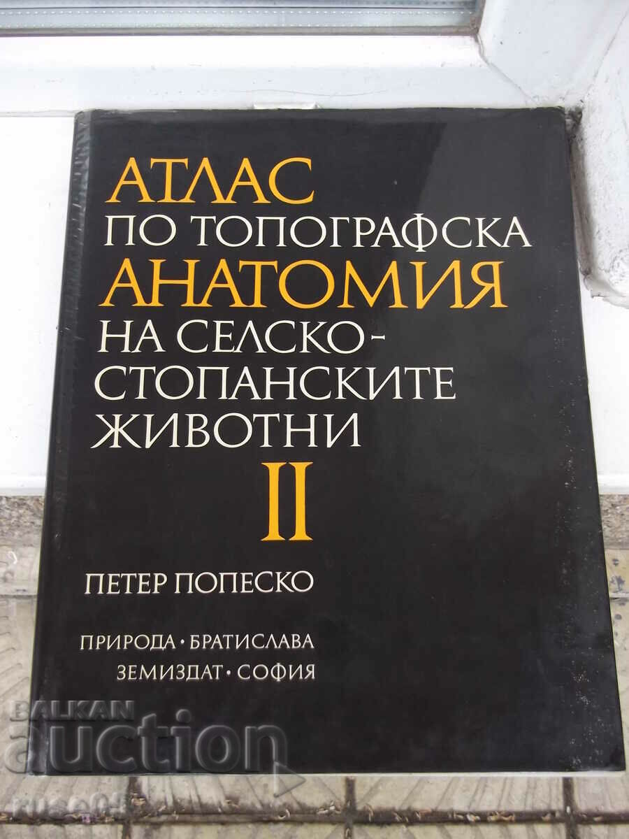 Βιβλίο "Άτλας τοπογραφικής ανατομίας-Β' τόμος-Π. Ποπέσκο"-194σ