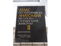 Βιβλίο "Άτλας τοπογραφικής ανατομίας-Β' τόμος-Π. Ποπέσκο"-194σ