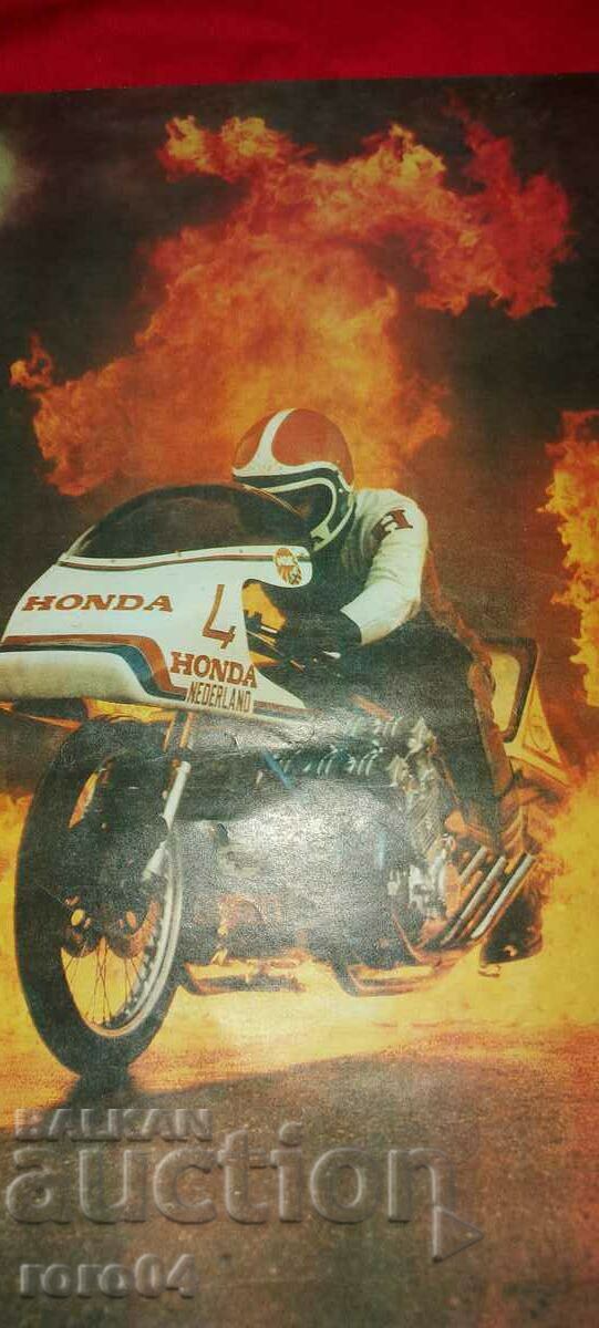 Auction  POSTER - POSTER - POSTER