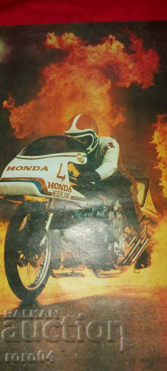 Auction  POSTER - POSTER - POSTER