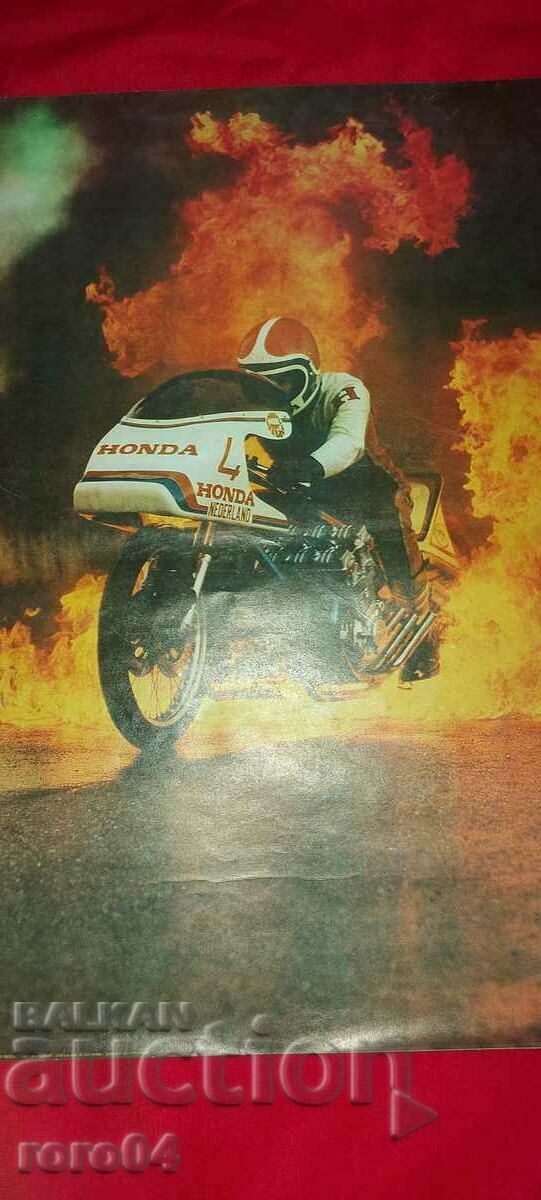 POSTER - POSTER - POSTER - 6