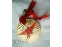 Plaque badge 1967 - 50 years of the USSR, pioneer camp Artek
