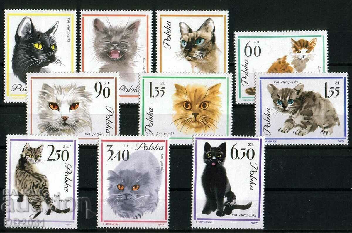 Poland 1964 - MNH cats Poland 1964 - MNH cats