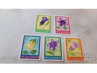 Postage stamps NRB Tsvetya