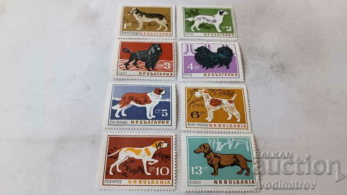 Timbre poștale NRB Câini