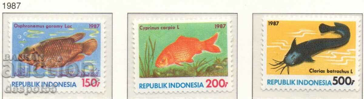 1987. Indonezia. Peşte.