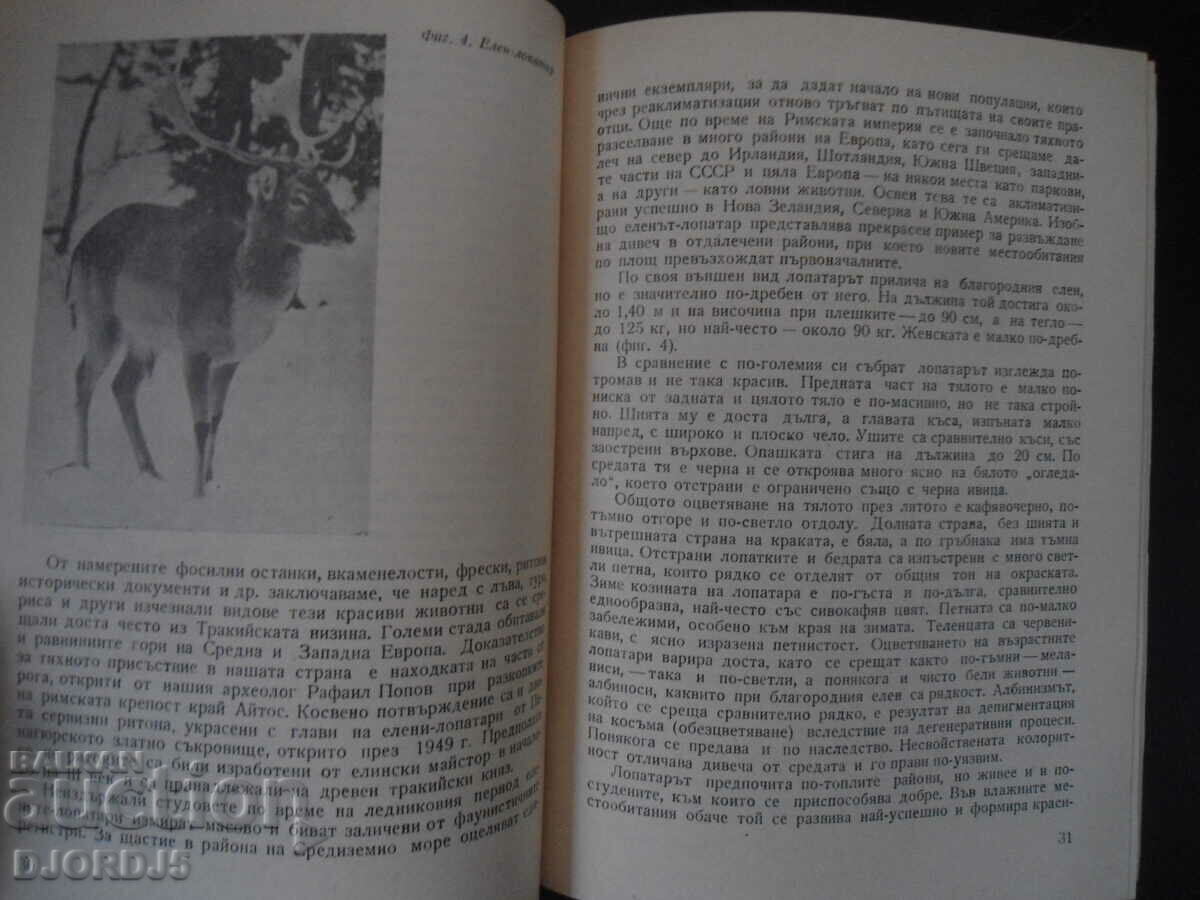 Auction Enrichment of hunting fauna in Bulgaria Auction Enrichment of hunting fauna in Bulgaria