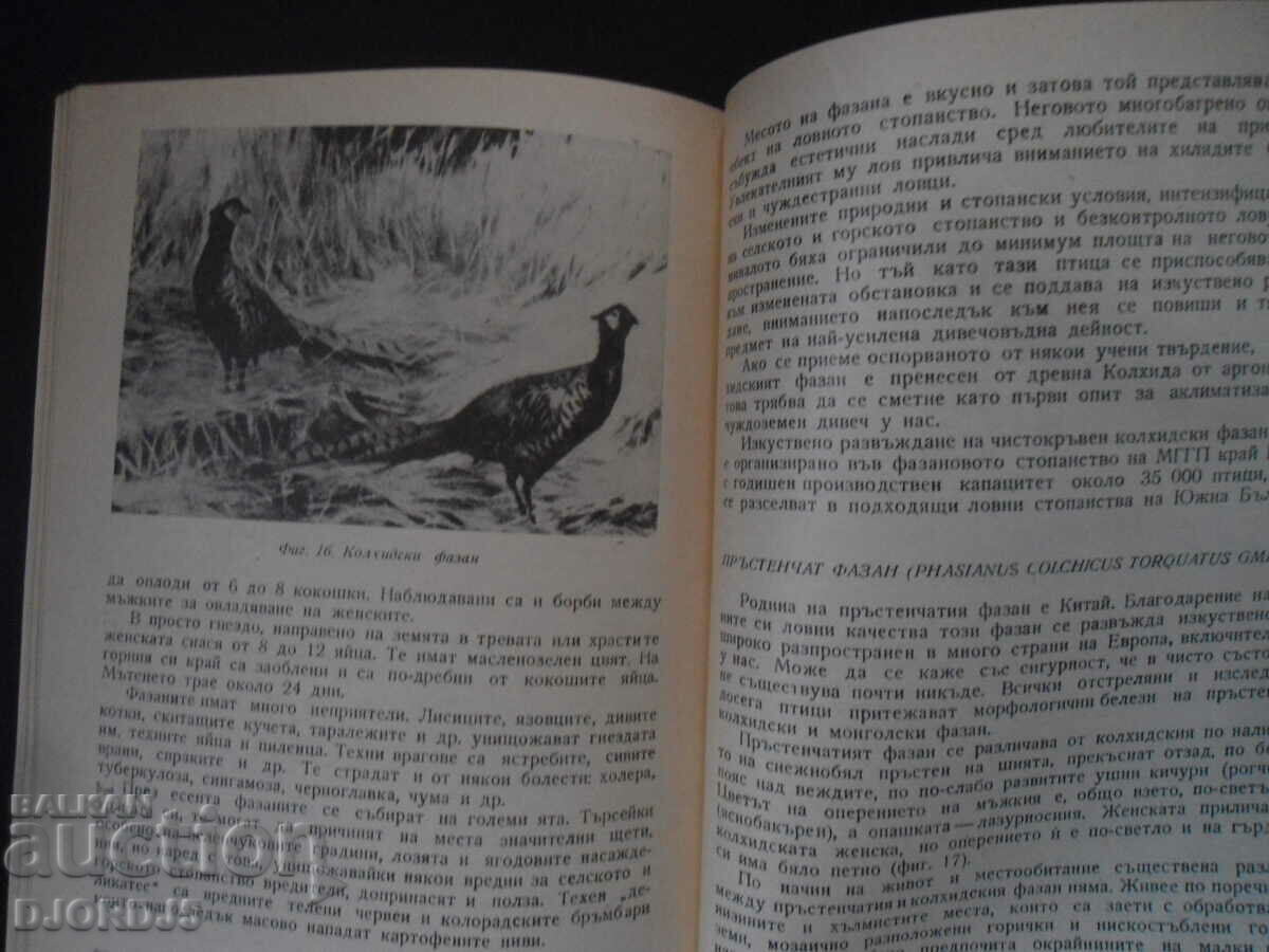 Delivery of Enrichment of hunting fauna in Bulgaria Delivery of Enrichment of hunting fauna in Bulgaria