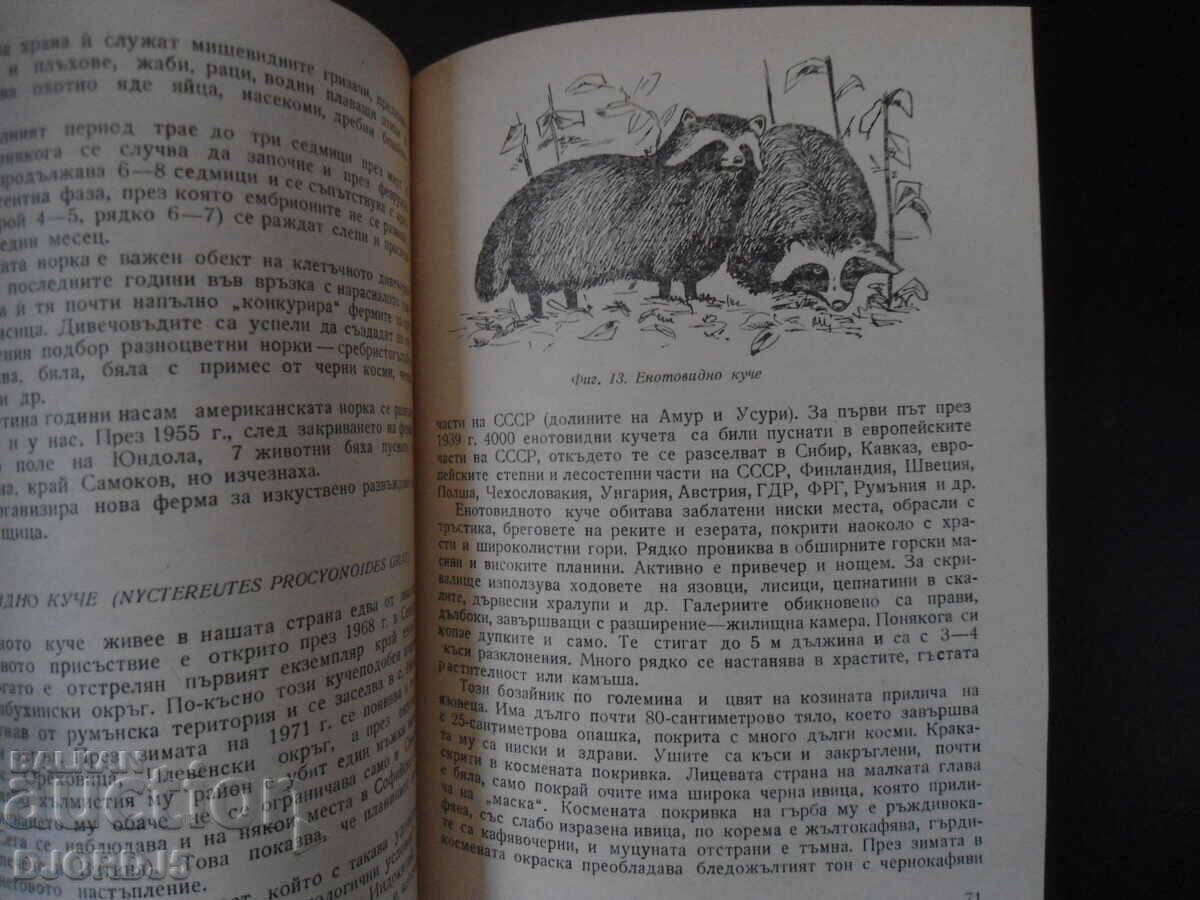 Enrichment of hunting fauna in Bulgaria - 5 Enrichment of hunting fauna in Bulgaria - 5