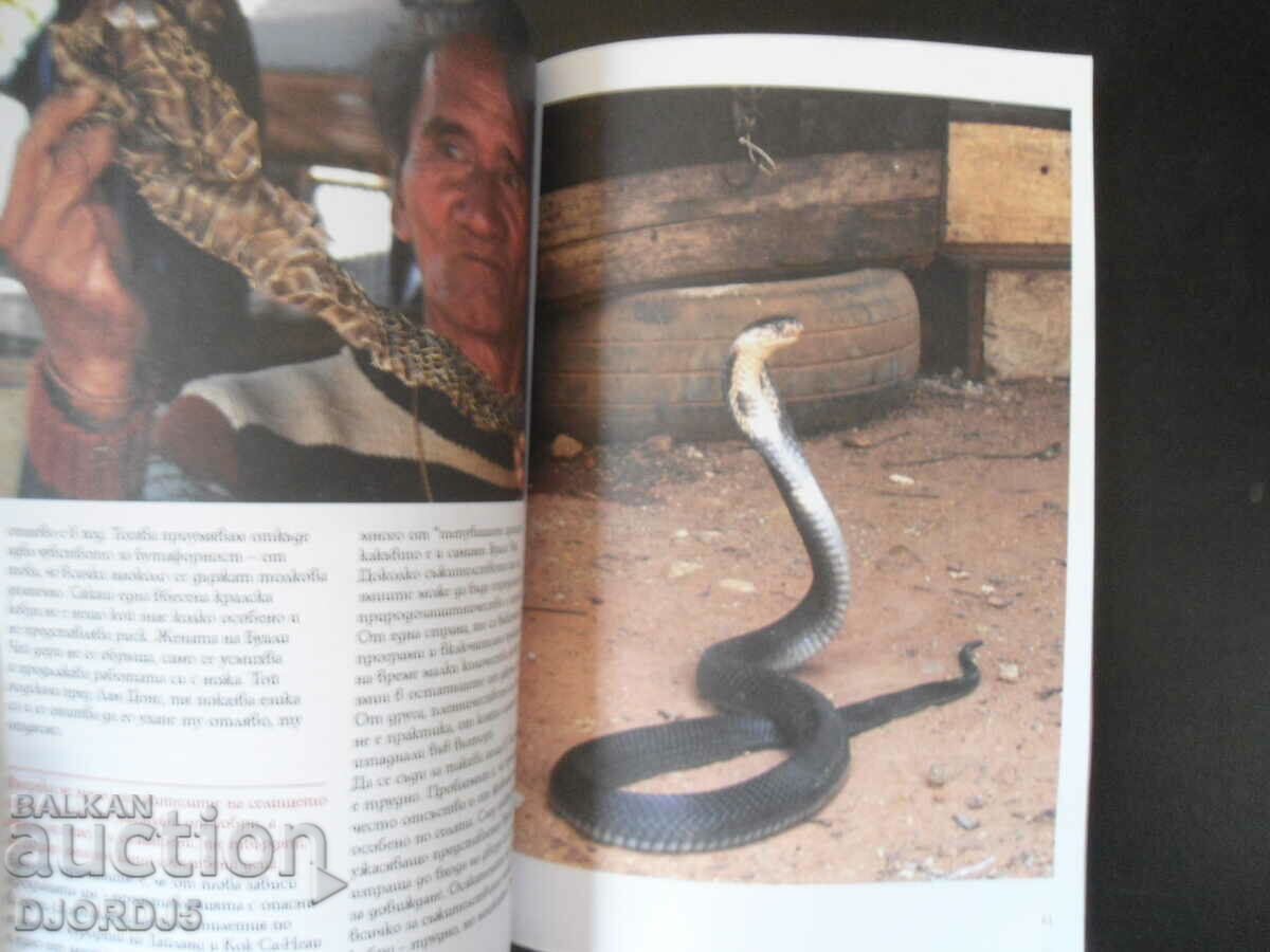 "SPUNK", magazine for life and health - 5 "SPUNK", magazine for life and health - 5