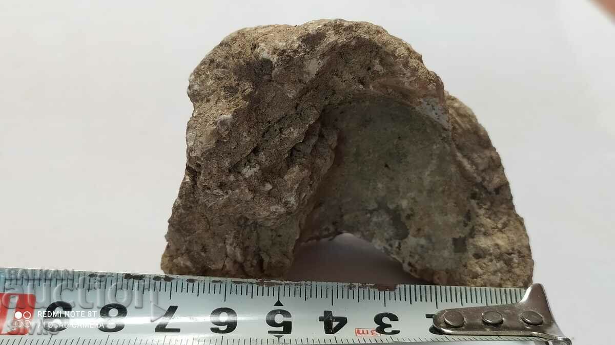 Delivery of Fossil Delivery of Fossil