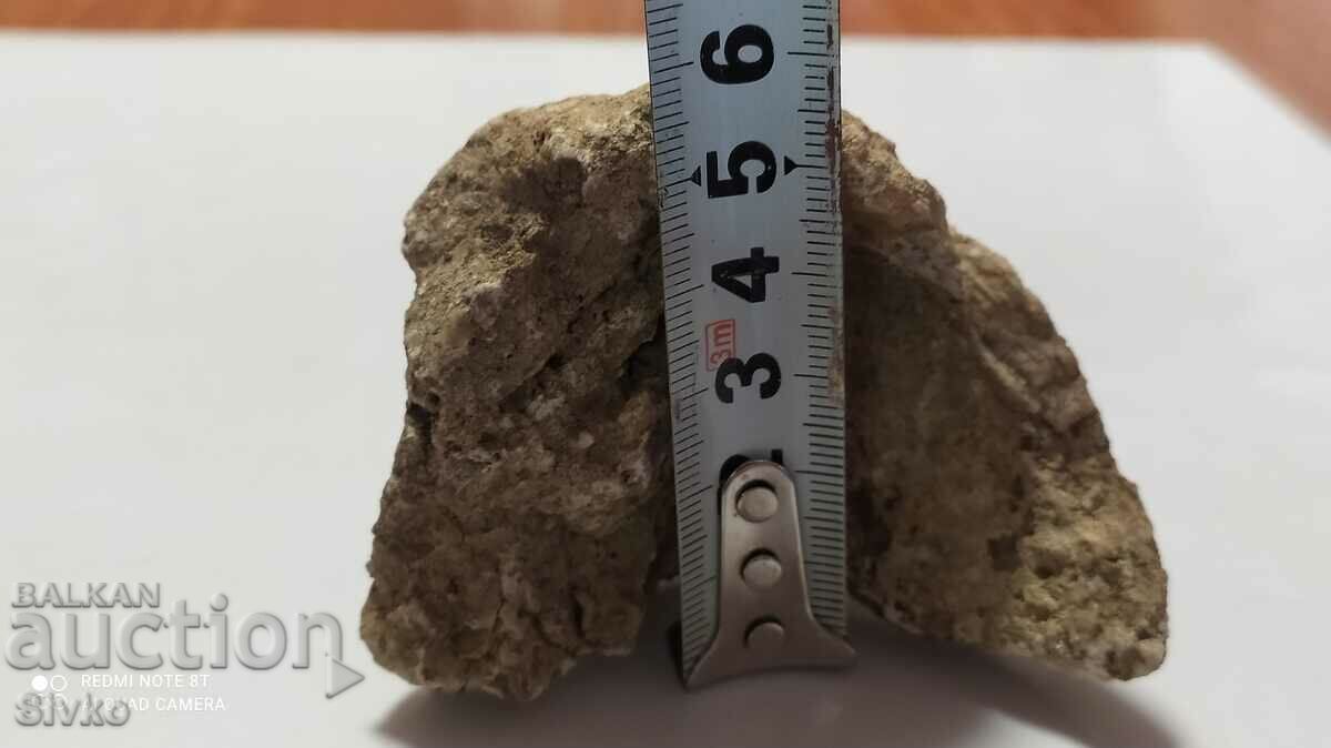 Fossil - 5 Fossil - 5