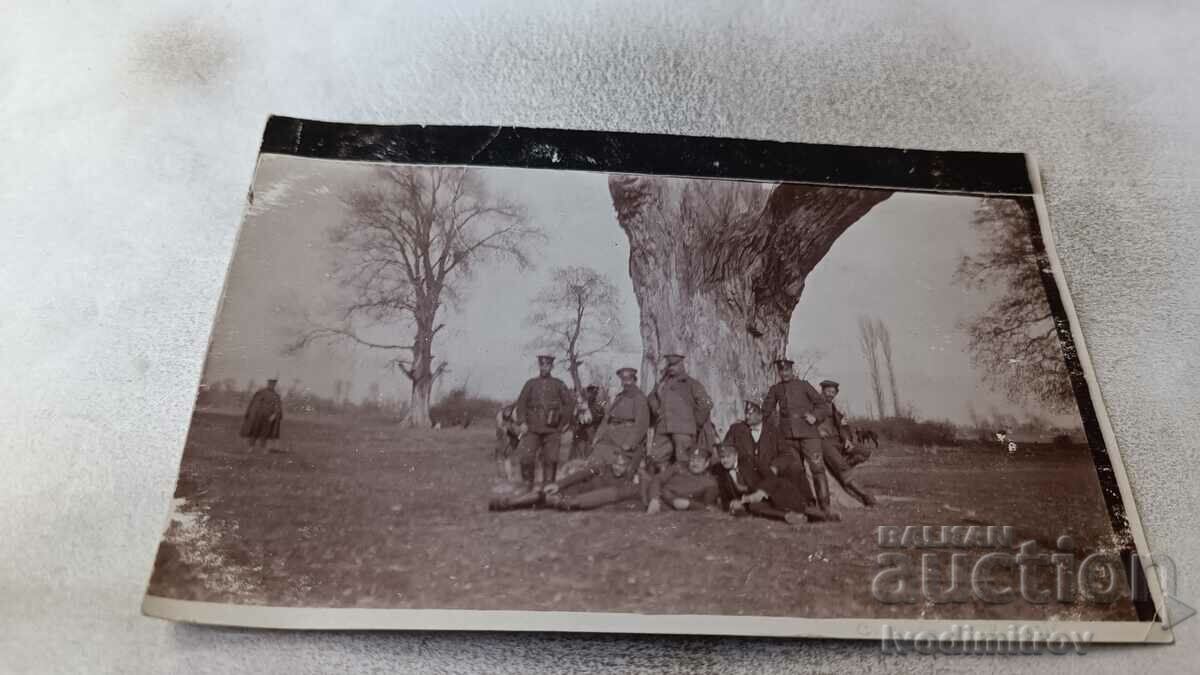 Foto Ofițeri sub un copac imens Primul Război Mondial