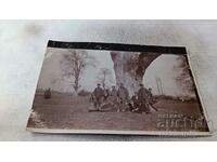 Foto Ofițeri sub un copac imens Primul Război Mondial