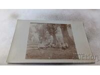 Снимка Офицери под огромно дърво Първа Световна Война