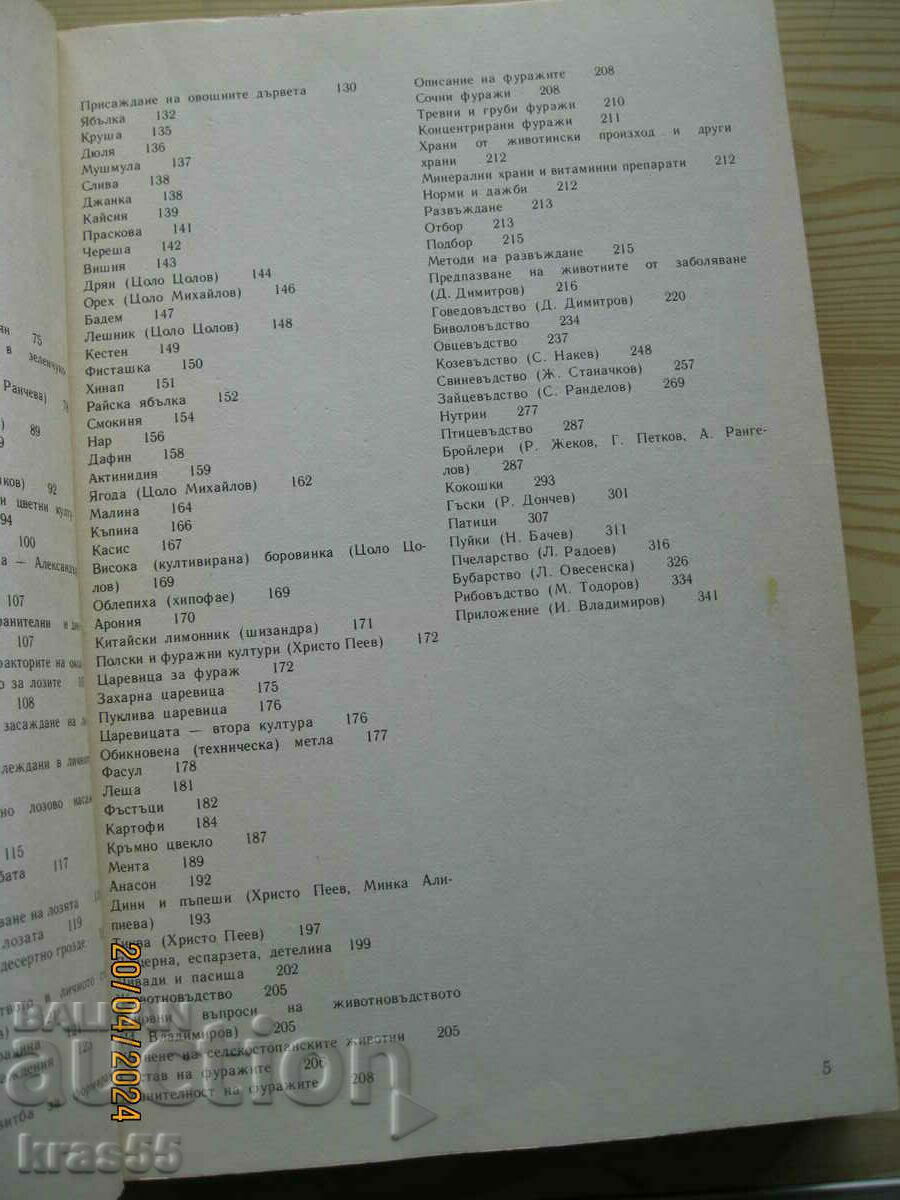 Auction Tips for the personal economy Auction Tips for the personal economy