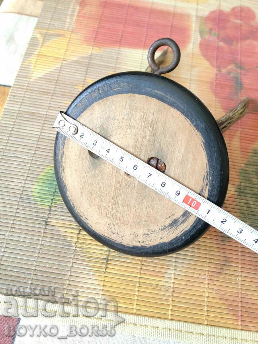 Delivery of Hunting Trophy Roe Deer Antlers on Wall Mount