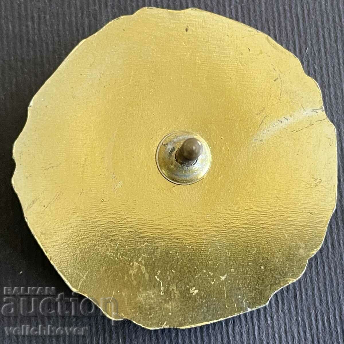 37009 Bulgaria military insignia Parvenets Youth work and education with price 20.00 BGN | € 10.23 37009 Bulgaria military insignia Parvenets Youth work and education with price 20.00 BGN | € 10.23