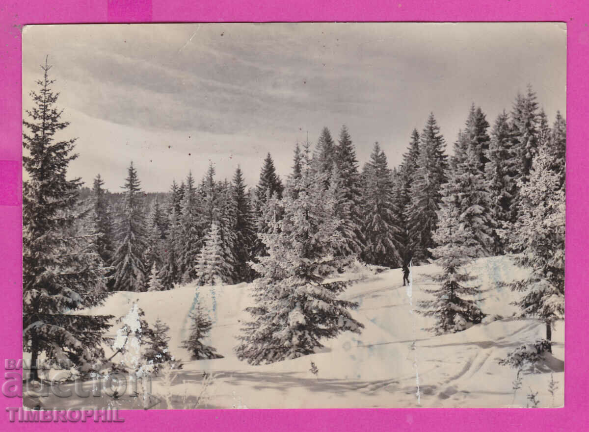 Licitație 311141 / Sofia - Parcul Național Vitosho A-10/1962 Bulgarsk Licitație 311141 / Sofia - Parcul Național Vitosho A-10/1962 Bulgarsk