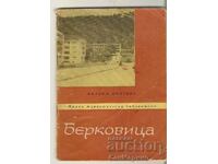 Guide Berkovitsa