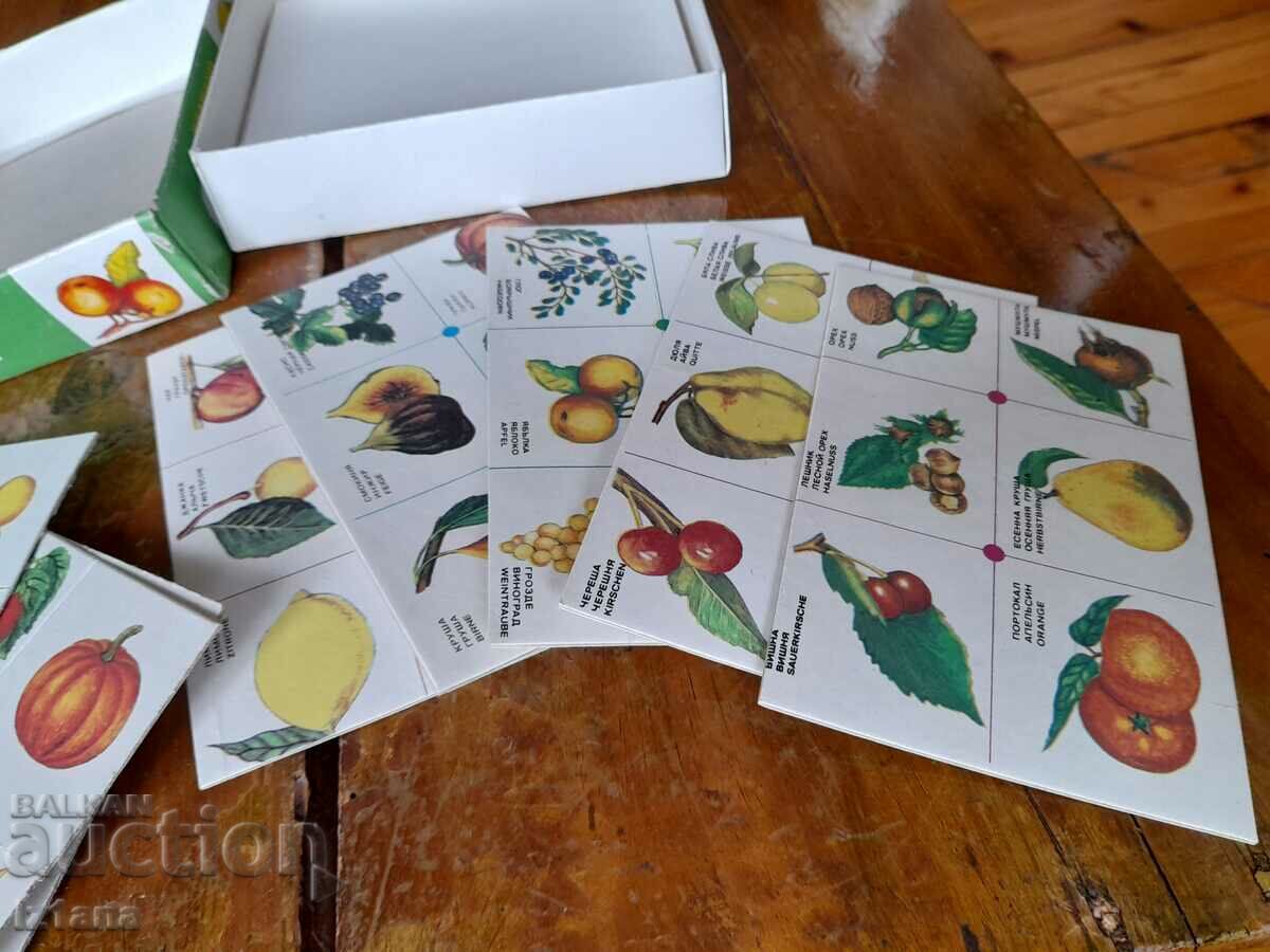 Delivery of An old children's game Lotto fruits Delivery of An old children's game Lotto fruits
