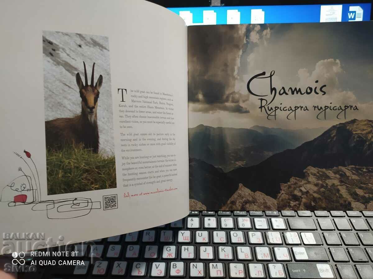 Auction  Hunting and fishing magazine