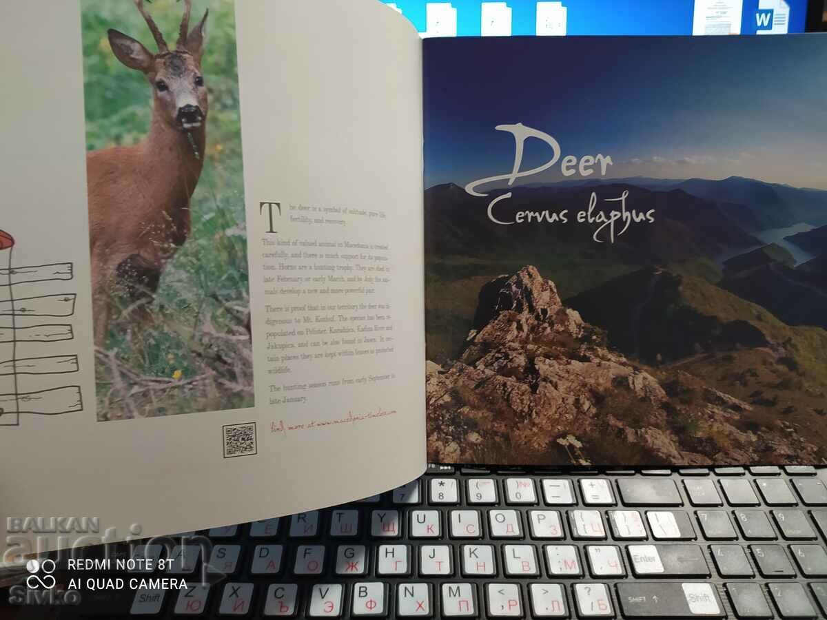 Delivery of Hunting and fishing magazine