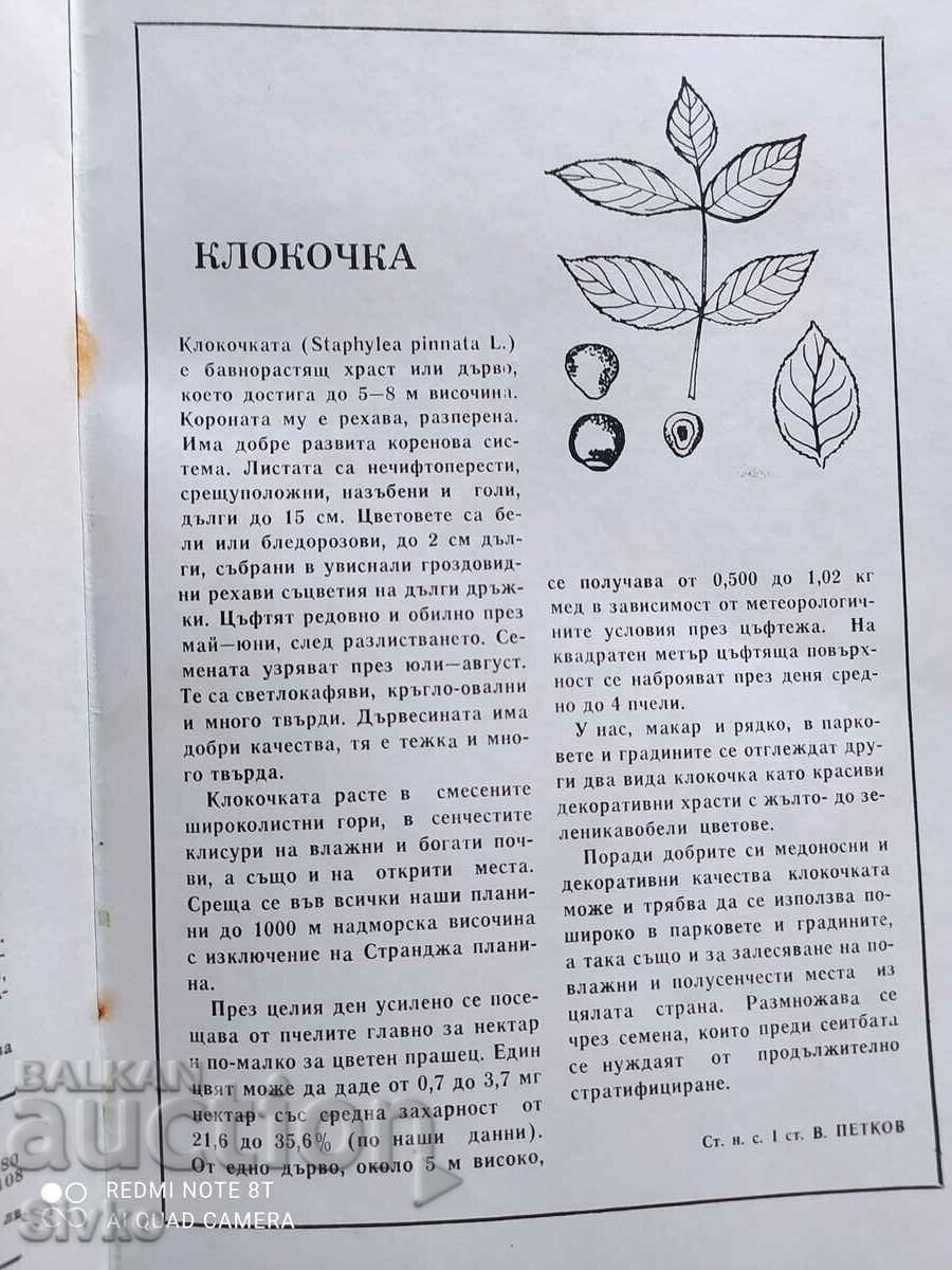 Auction  Beekeeping magazine issue 3 of 1986