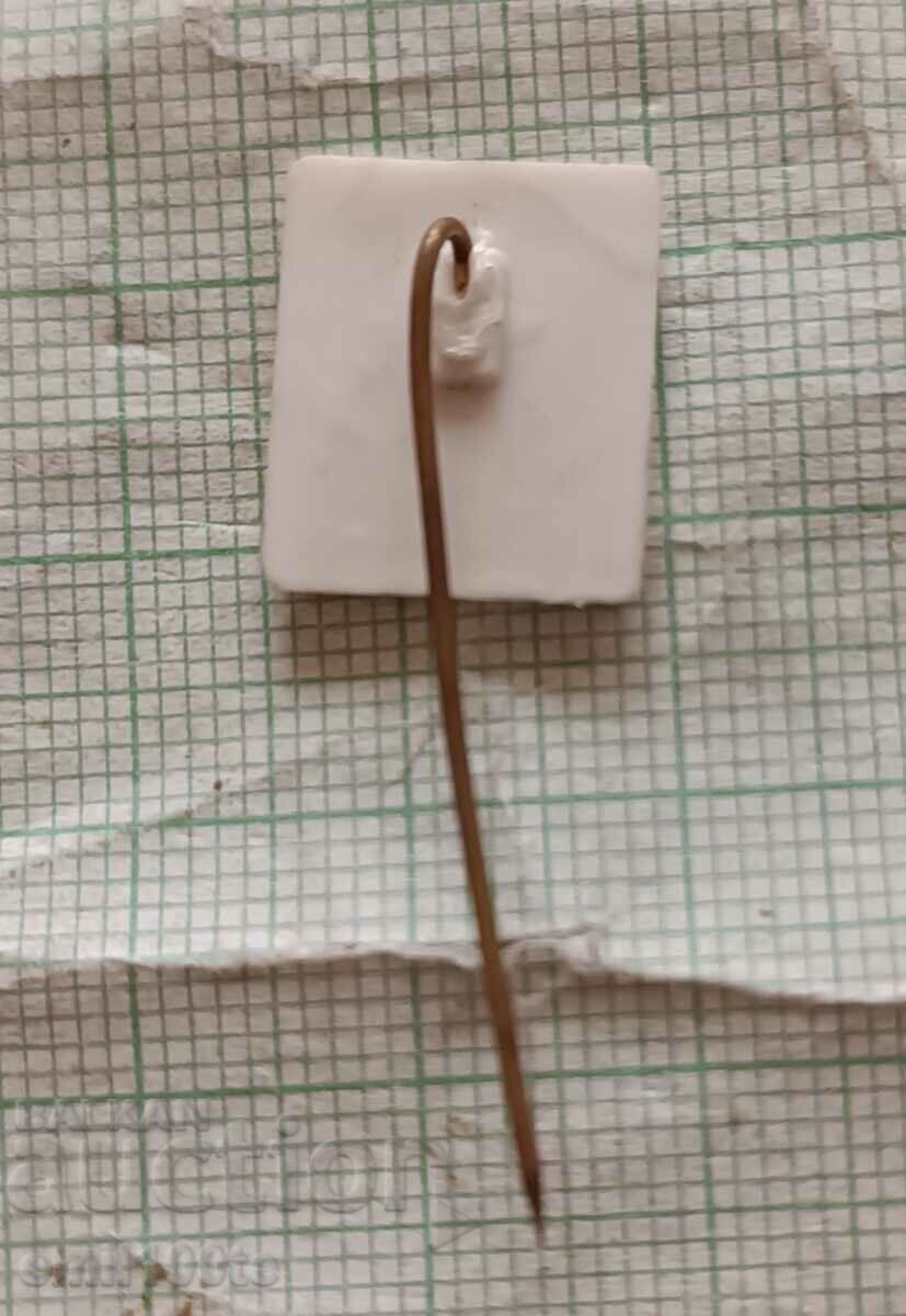 Delivery of Badge - Young Wrestler Delivery of Badge - Young Wrestler