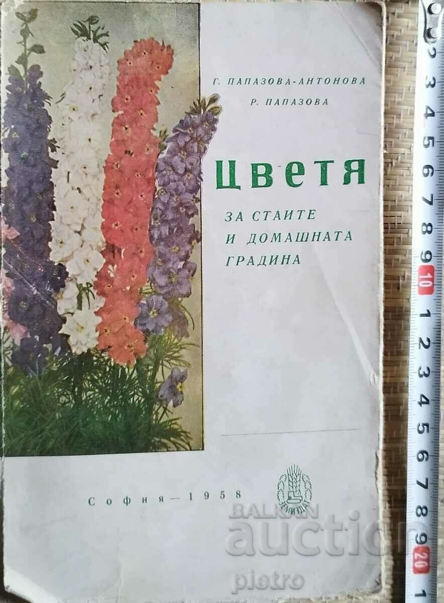 Flori pentru camere și grădină G. Papazova-Antonova...