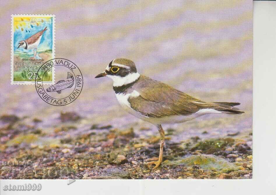 Καρτ ποστάλ Maximum FDC Birds Animals