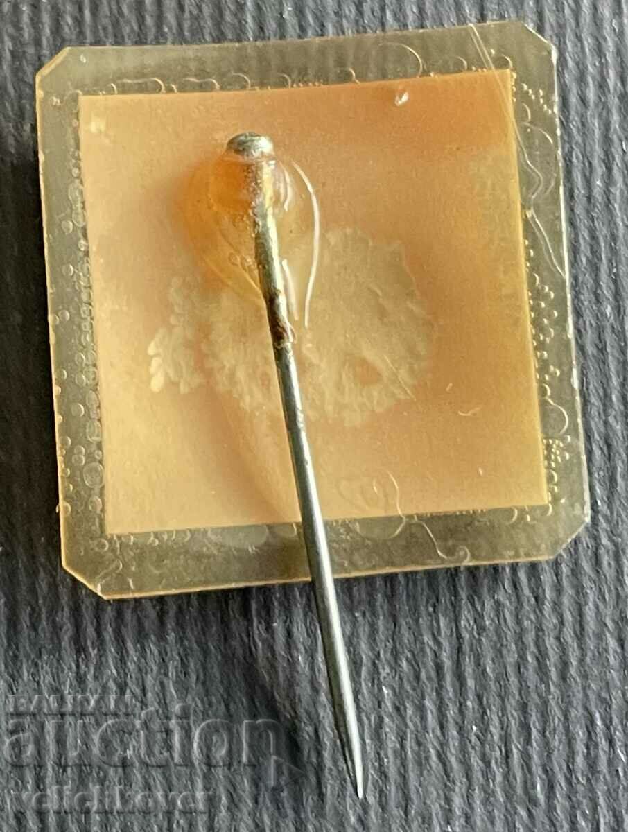 37038 Bulgaria sign club Esperanto Veliko Tarnovo with price 3.00 BGN | € 1.53 37038 Bulgaria sign club Esperanto Veliko Tarnovo with price 3.00 BGN | € 1.53