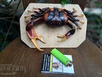 Cured Caribbean crab