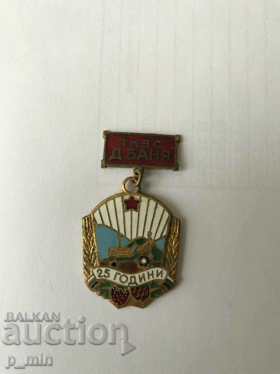 Badge - TCZS "D. Banya"