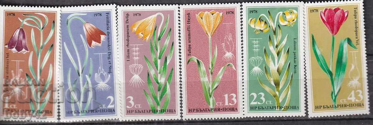 BC 2749-2754 Flora - plante rare