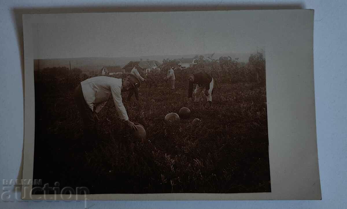 MILITARY WATERMELON WORLD WAR I PHOTO KINGDOM OF BULGARIA with price 35.00 BGN | € 17.90 MILITARY WATERMELON WORLD WAR I PHOTO KINGDOM OF BULGARIA with price 35.00 BGN | € 17.90