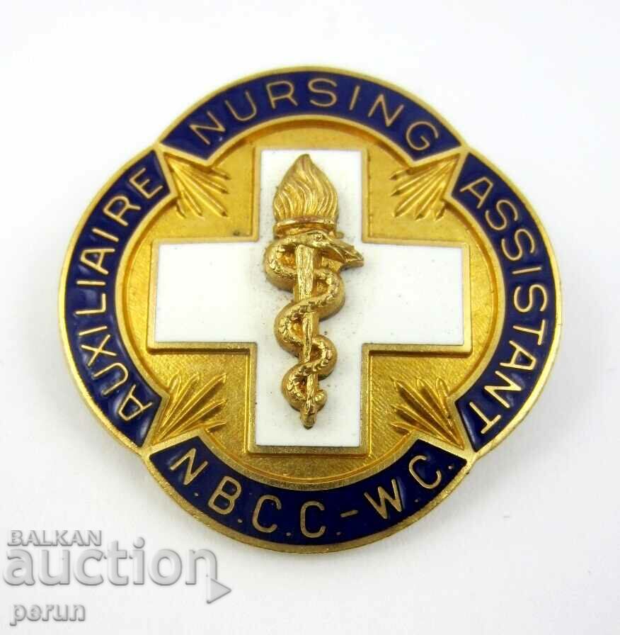 Badge of Excellence-Nursing-New Brunswick, Canada with price 16.99 BGN | € 8.69 Badge of Excellence-Nursing-New Brunswick, Canada with price 16.99 BGN | € 8.69