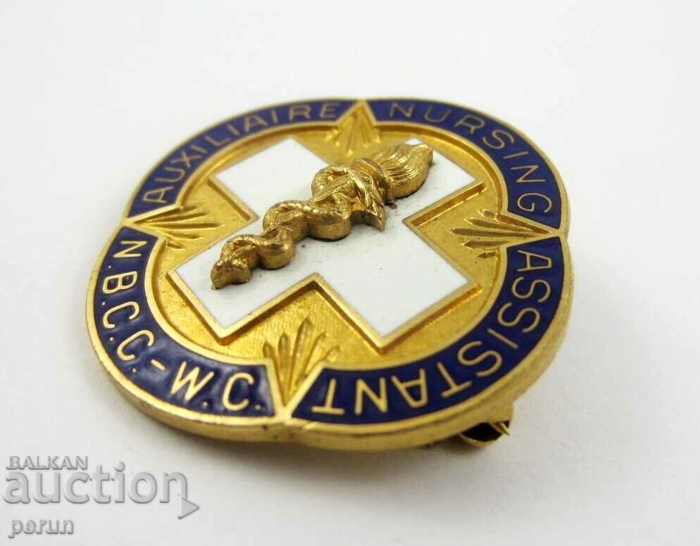 Auction Badge of Excellence-Nursing-New Brunswick, Canada Auction Badge of Excellence-Nursing-New Brunswick, Canada